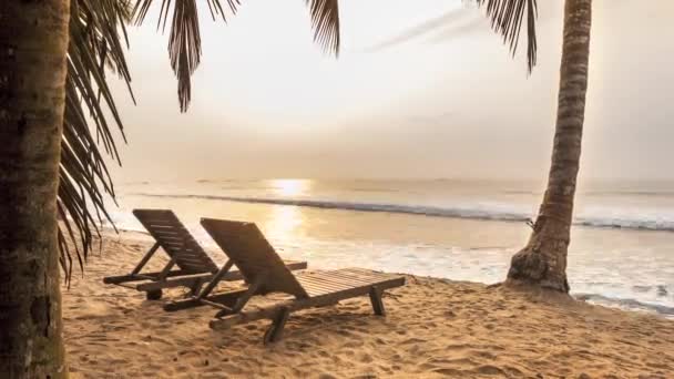 Bela praia em trópicos durante o nascer do sol — Vídeo de Stock