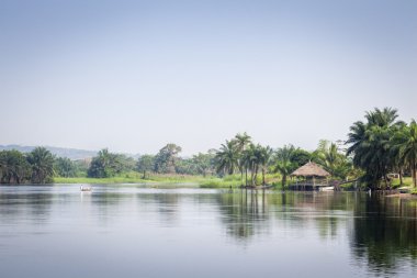 güzel tropik bakış