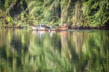 güzel tropik bakış