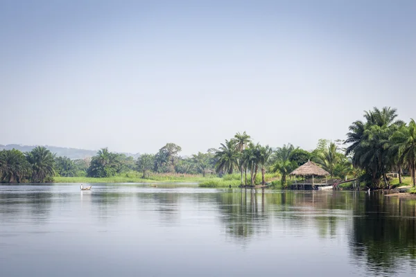 güzel tropik bakış