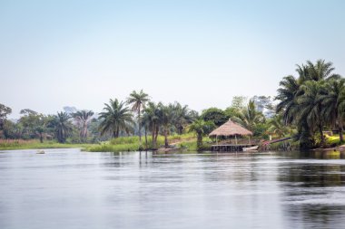 güzel tropik bakış