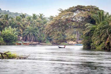 güzel tropik bakış