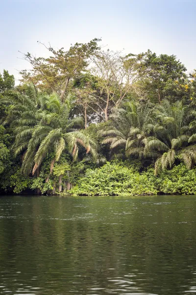美しい熱帯の風景 — ストック写真