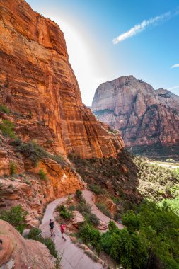 zion national park içinde kırmızı kayaların üzerinden iz