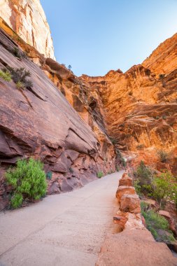 zion national park içinde kırmızı kayaların üzerinden iz