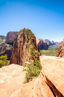 Zion national park için yapılan açılış melekler denilen eşsiz dağ