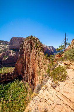 Zion national park için yapılan açılış melekler denilen eşsiz dağ