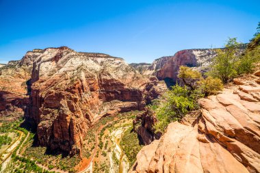 güzel bir kanyonda zion national park manzarası. 