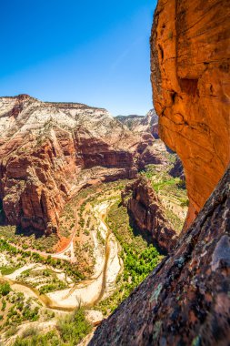 güzel bir kanyonda zion national park manzarası. 