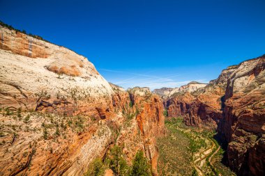 güzel bir kanyonda zion national park manzarası. 