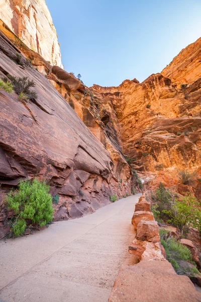 Trail gennem røde klipper i Zion National Park - Stock-foto
