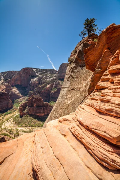 Canyon, zion nemzeti park, utah, USA-ban — Stock Fotó