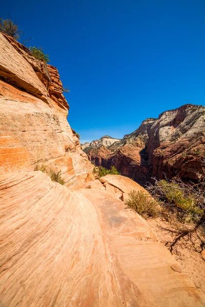 Táj a zion nemzeti park, utah, Amerikai Egyesült Államok — Stock Fotó