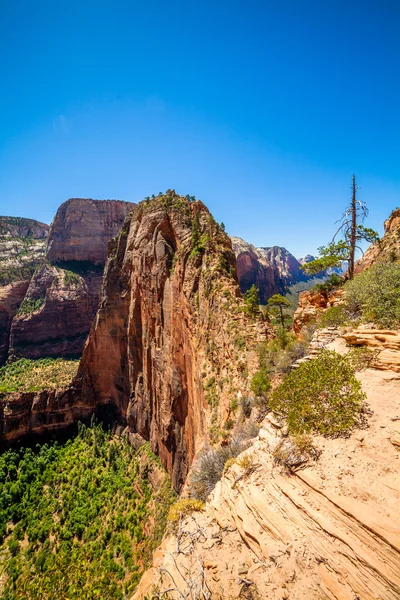 Egyedülálló hegyi úgynevezett angyalok leszállás a zion nemzeti park — Stock Fotó