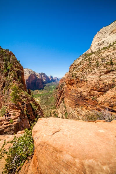 Canyon, zion nemzeti park, utah, USA-ban — Stock Fotó