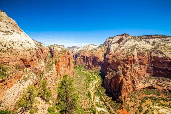 Belle vue sur le canyon dans le parc national de Zion . — Photo