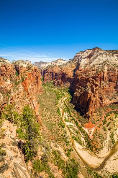 Belle vue sur le canyon dans le parc national de Zion . — Photo