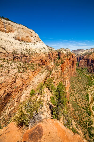 Vacker utsikt över canyon i zion national park. — Stockfoto