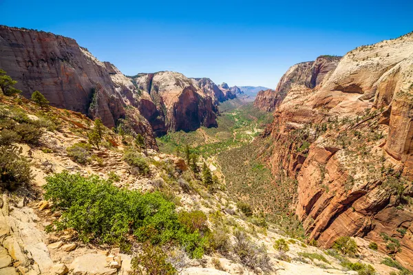 Belle vue sur le canyon dans le parc national de Zion . — Photo