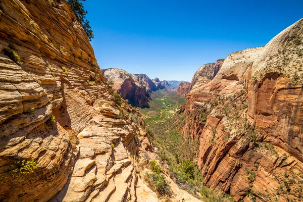 Gyönyörű kilátás nyílik a canyon, a zion nemzeti park. — Stock Fotó