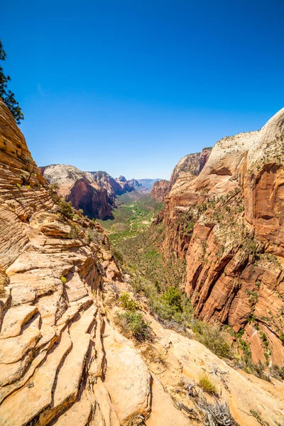 Vacker utsikt över canyon i zion national park. — Stockfoto