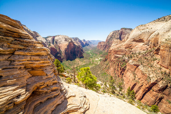Прекрасный вид на каньон в Национальном парке Зайон
. 
