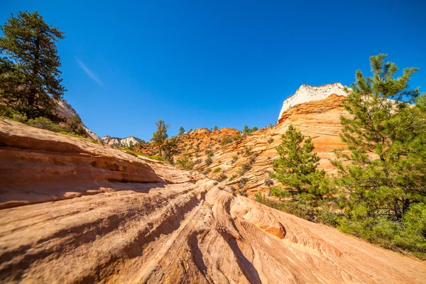 Röd rock i utah, usa — Stockfoto