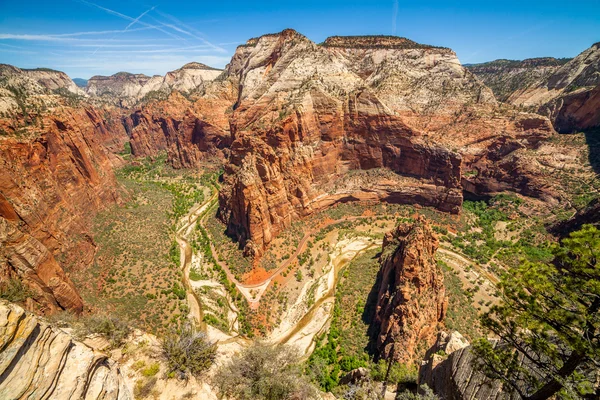 Belle vue sur le canyon dans le parc national de Zion . — Photo