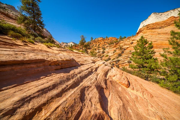 Röd rock i utah, usa — Stockfoto