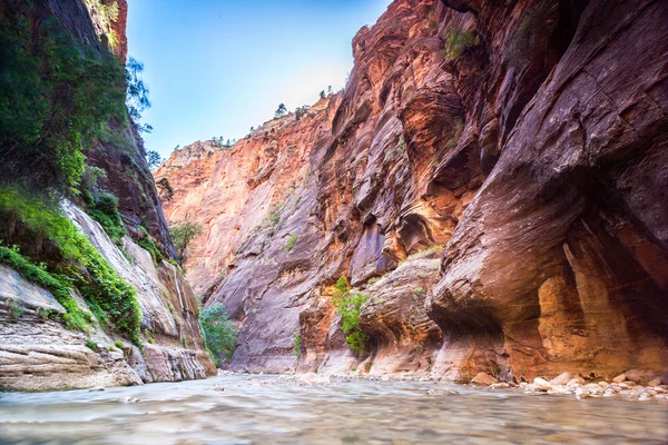 Canyon, zion nemzeti park, utah, USA-ban — Stock Fotó