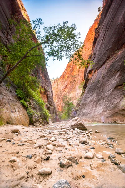 Canyon em Zion National Park, Utah, EUA — Fotografia de Stock