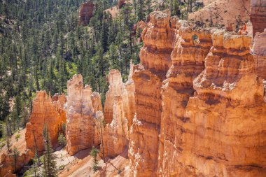 Bryce Canyon Ulusal Parkı Utah, ABD