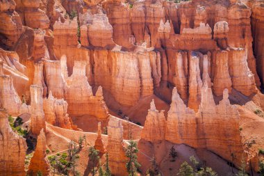 Bryce Canyon Ulusal Parkı Utah, ABD