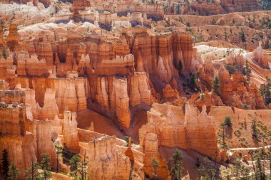 Bryce Canyon Ulusal Parkı Utah, ABD