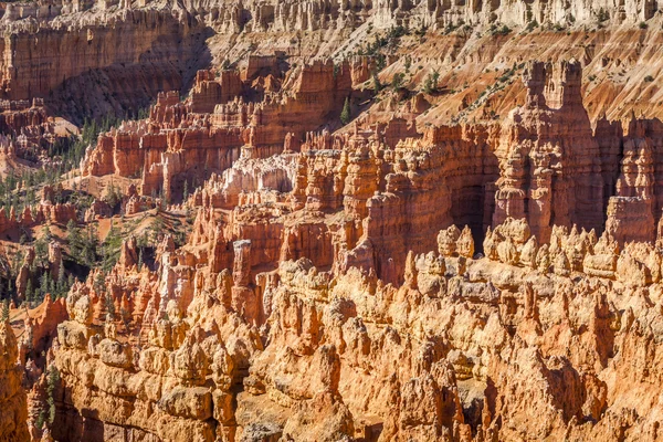 Taman Nasional Ngarai Bryce di Utah, Amerika Serikat — Stok Foto