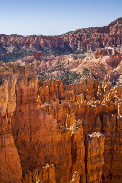 Bryce Canyon Nemzeti Park Utah, Amerikai Egyesült Államok — Stock Fotó