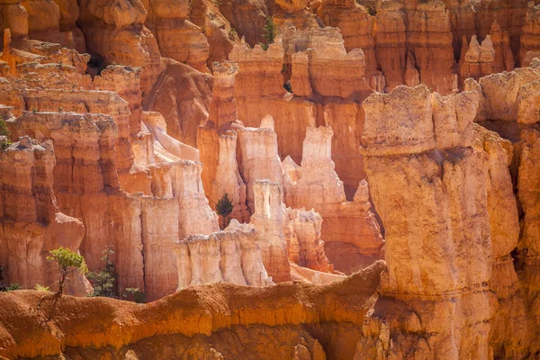 Taman Nasional Ngarai Bryce di Utah, Amerika Serikat — Stok Foto