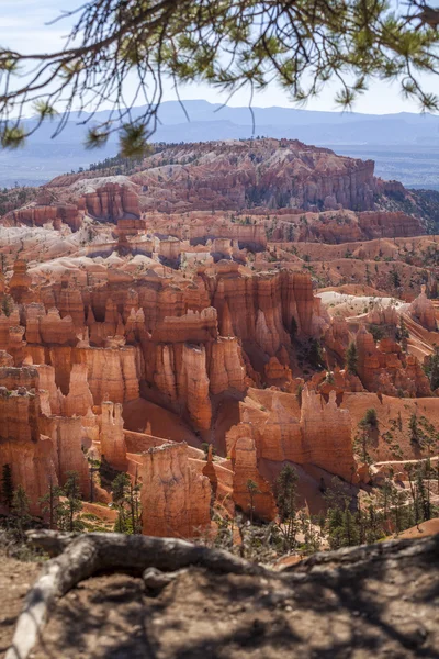 Taman Nasional Ngarai Bryce di Utah, Amerika Serikat — Stok Foto