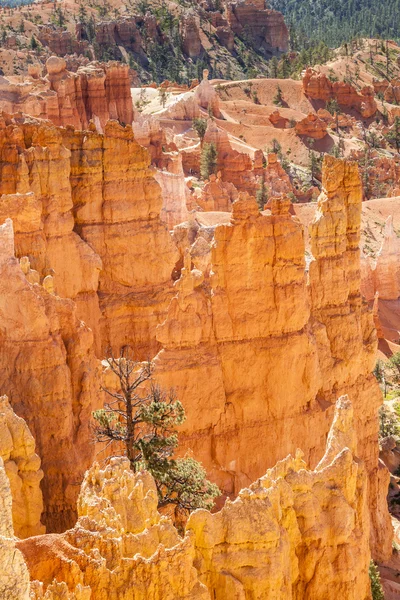 Parco nazionale del Bryce canyon nello Utah, USA — Foto Stock