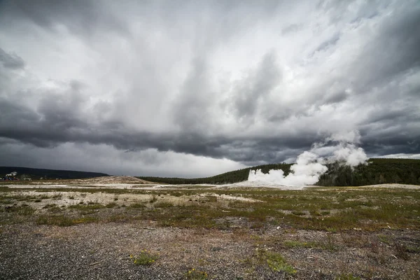 Yellowstone National Park — Stock Photo, Image