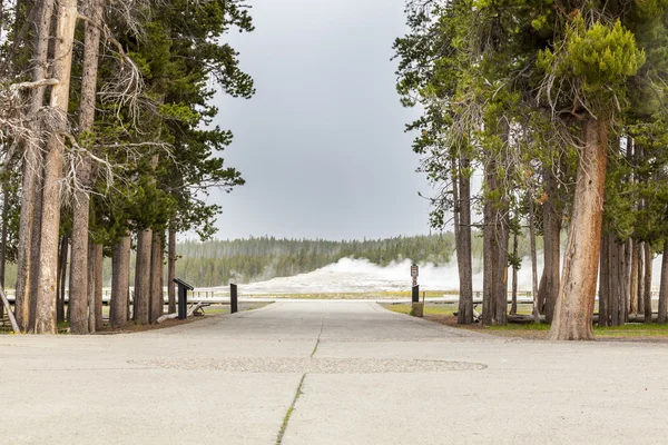 Parque Nacional de Yellowstone — Foto de Stock