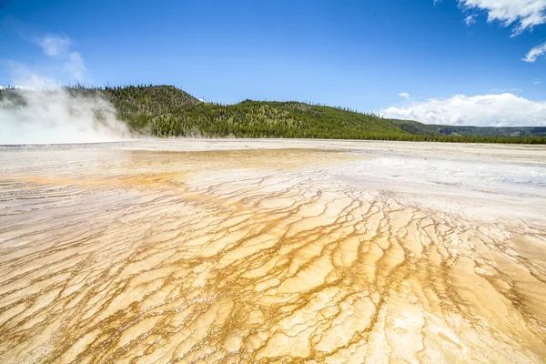 Yellowstone nationalpark — Stockfoto