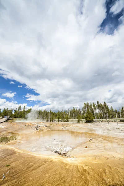 Yellowstone nationalpark — Stockfoto