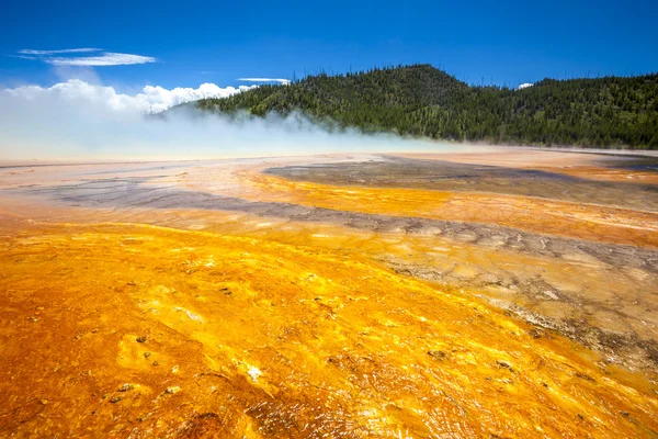 Yellowstone Nationalpark, utah, Vereinigte Staaten — Stockfoto