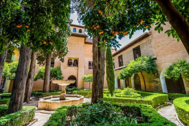 Alhambra sarayı kompleksi Granada, Endülüs, İspanya 'da çeşmeli ve ağaçlı Arap avlusu