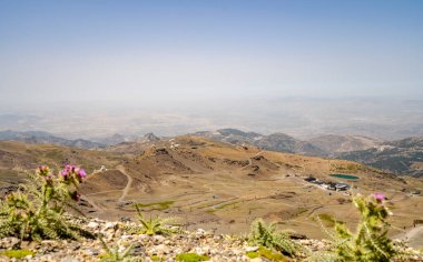 Önünde mor çiçekler bulunan Sierra Nevada Ulusal Parkı, Endülüs, İspanya