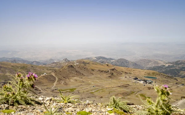 Önünde mor çiçekler bulunan Sierra Nevada Ulusal Parkı, Endülüs, İspanya