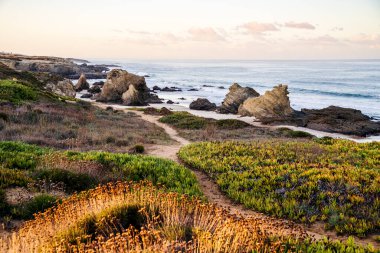 Beautiful landscape and seascape with rock formation in Samoqueira Beach, between Sines and Porto Covo, Alentejo, Portugal