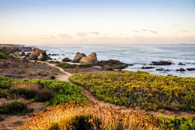 Beautiful landscape and seascape with rock formation in Samoqueira Beach, between Sines and Porto Covo, Alentejo, Portugal