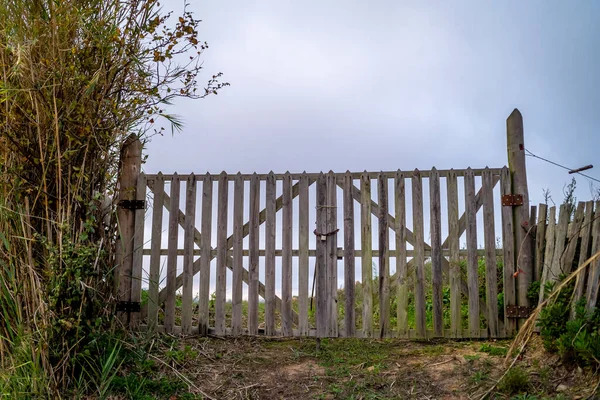 Wooden Gate Padlock Leading Field Portugal — 图库照片